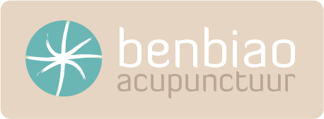 logo Benbiao Acupunctuur Arnhem