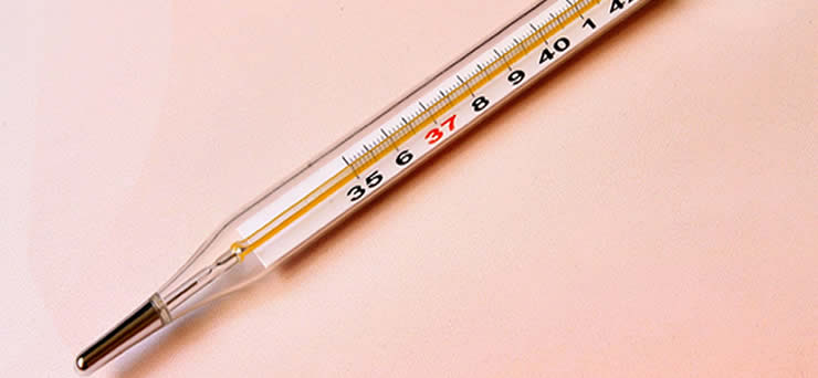 temperatuurkaart voor zwanger worden